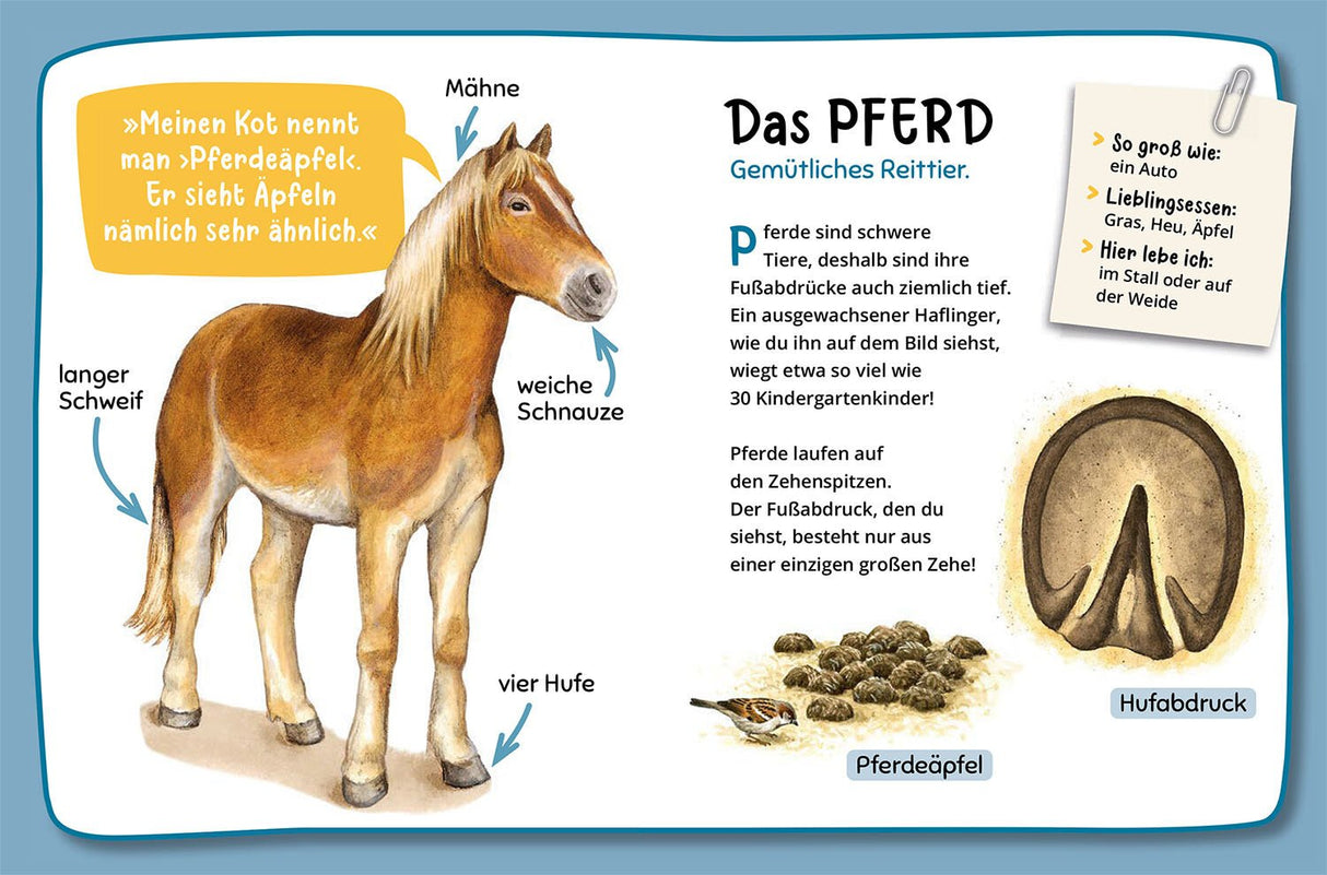 kinderbuch ab 4 jahren natur