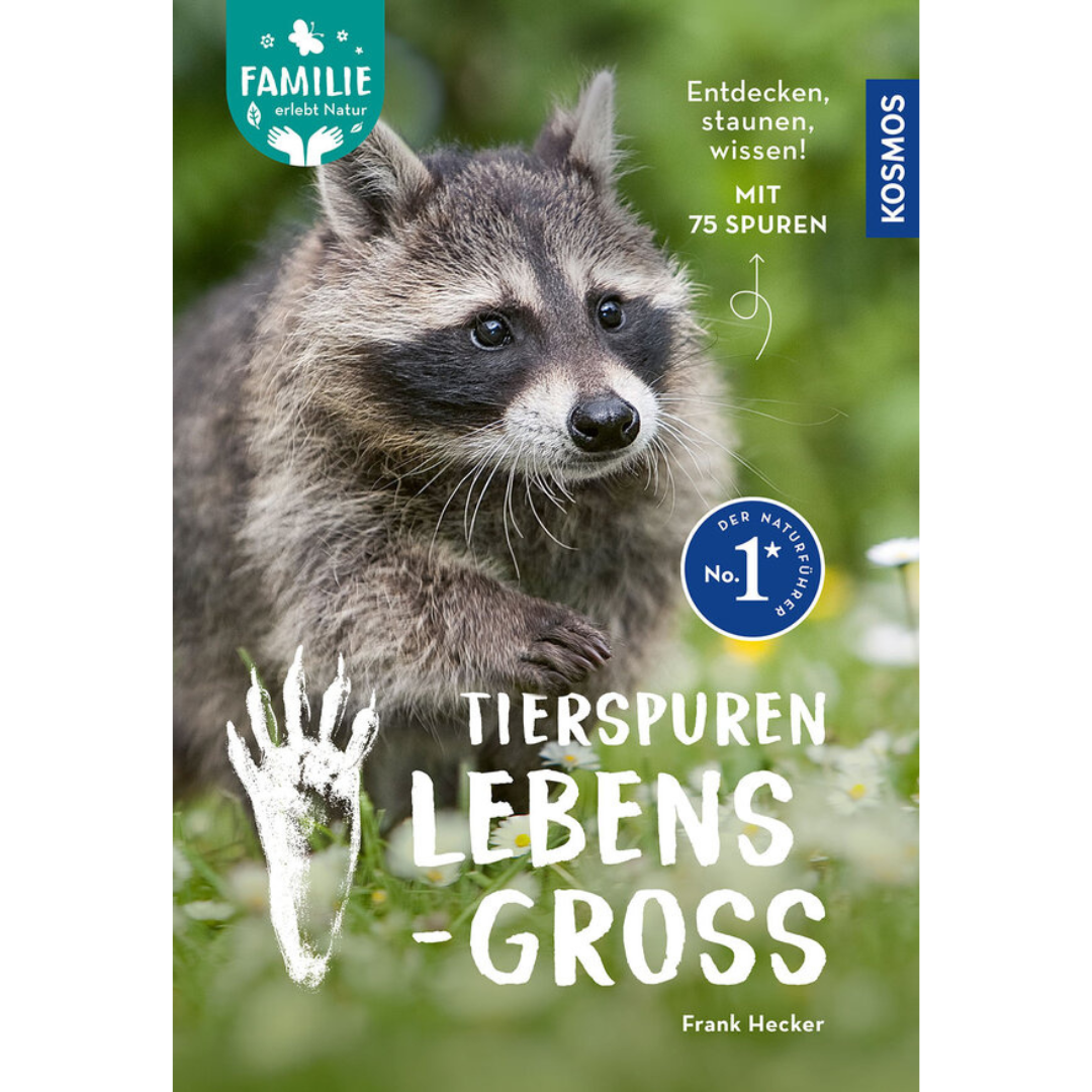 Tierspuren lebensgroß