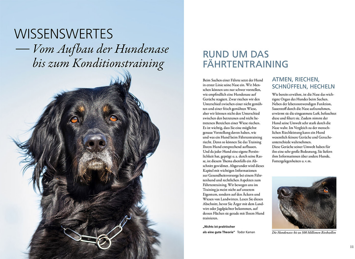 Trainingsbuch Fährtenarbeit - Rund um das Fährtentraining