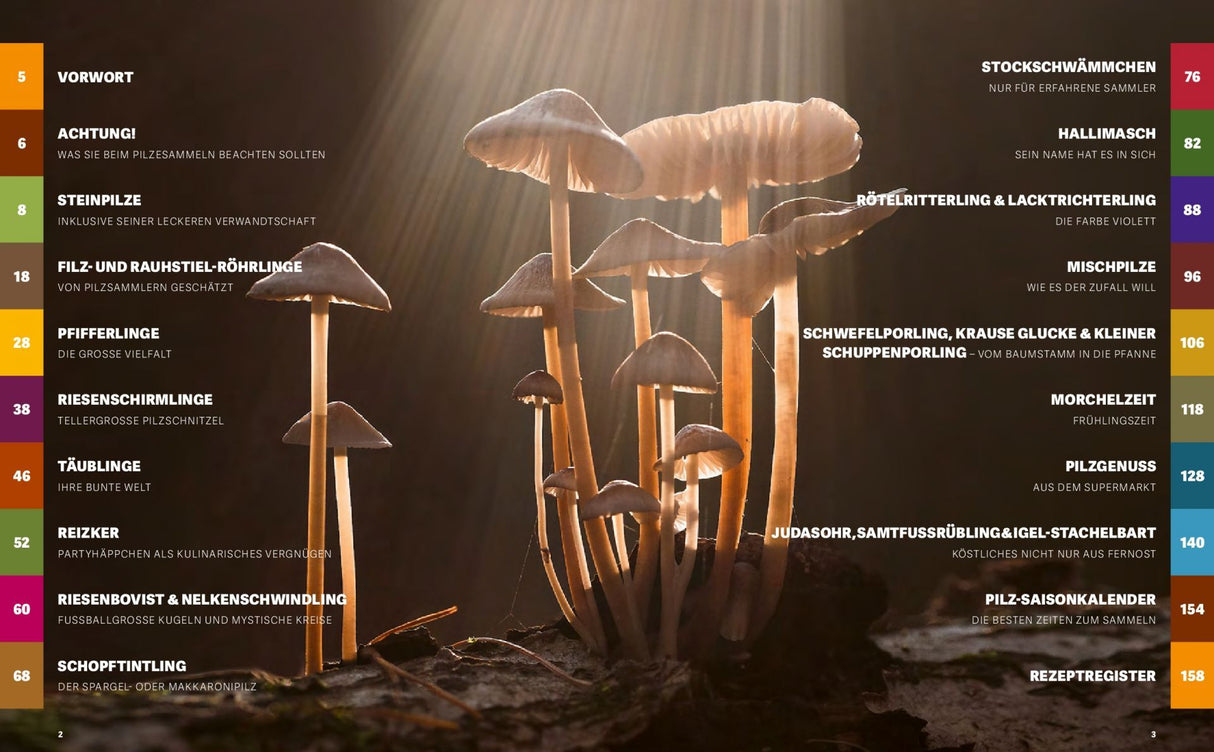 Pilzrezepte Buch