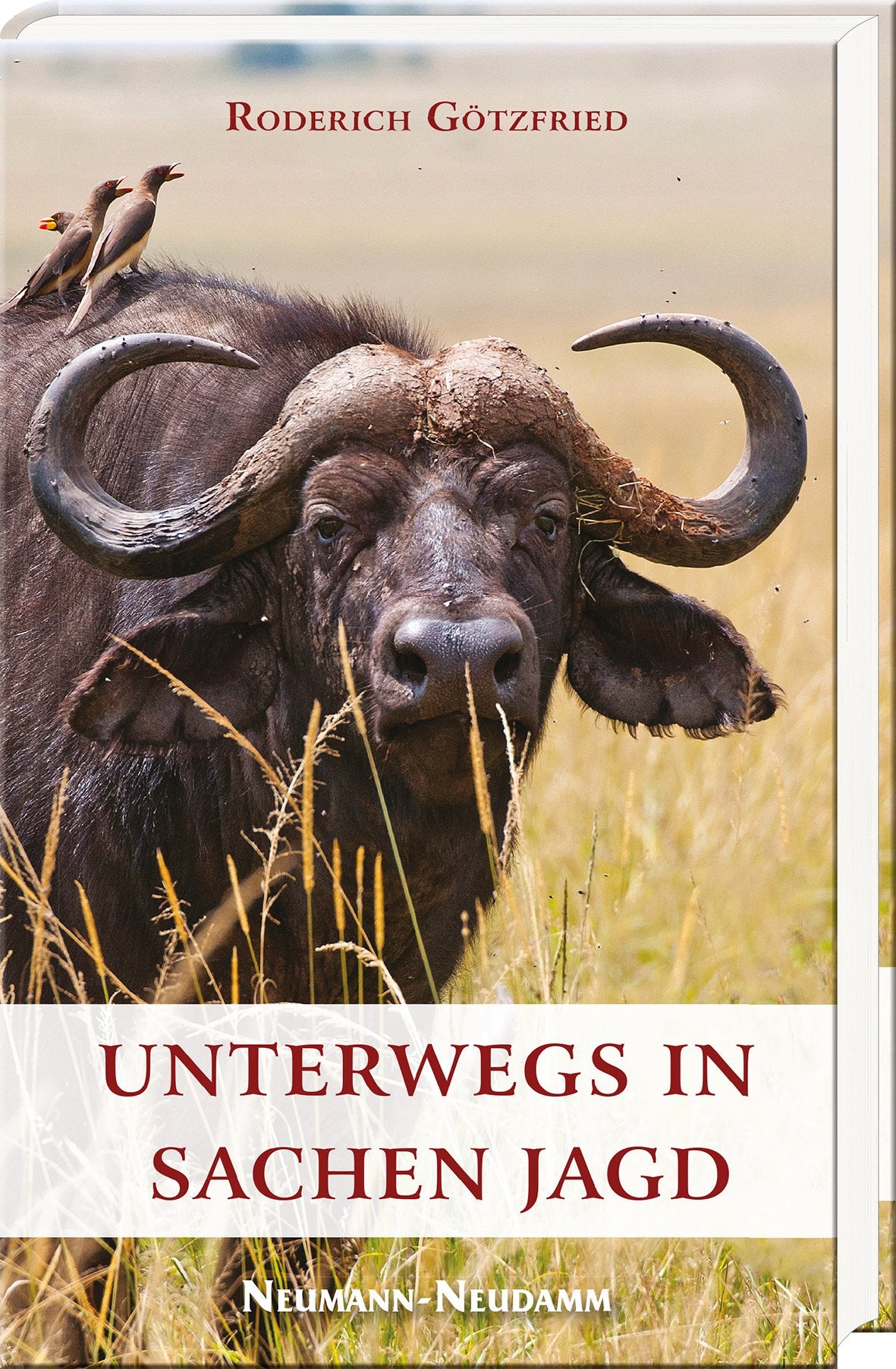 unterwegs in sachen jagd afrikabuch