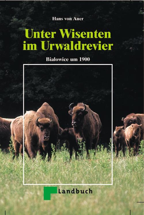 Unter Wisenten im Urwaldrevier Buch