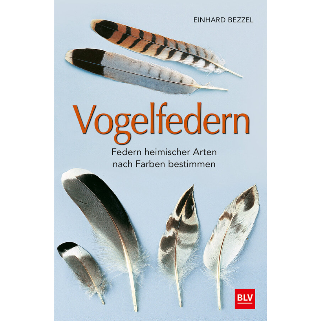 Vogelfedern - Federn heimischer Arten nach Farben bestimmen