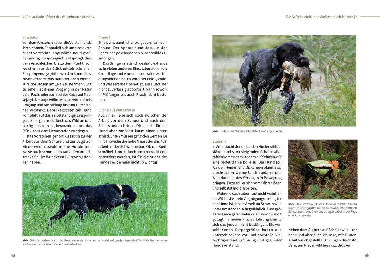 vollgebrauchshund innenansicht 2