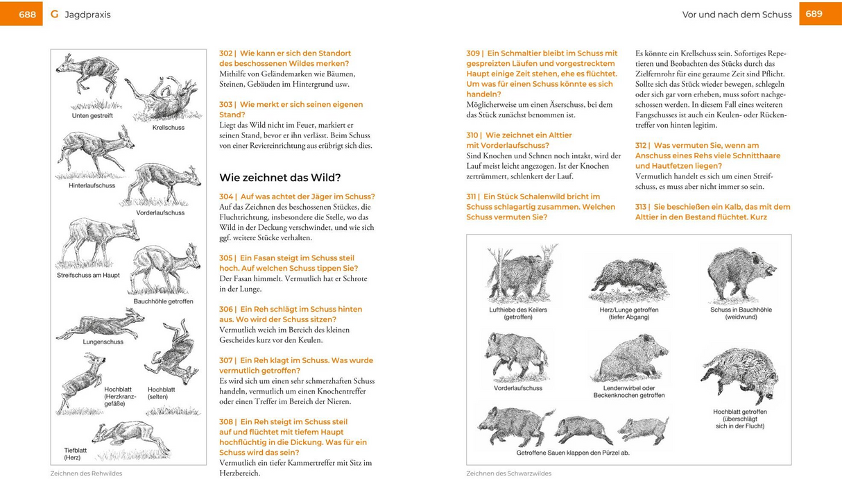 Vor und nach der Jägerprüfung - Innenansicht 1