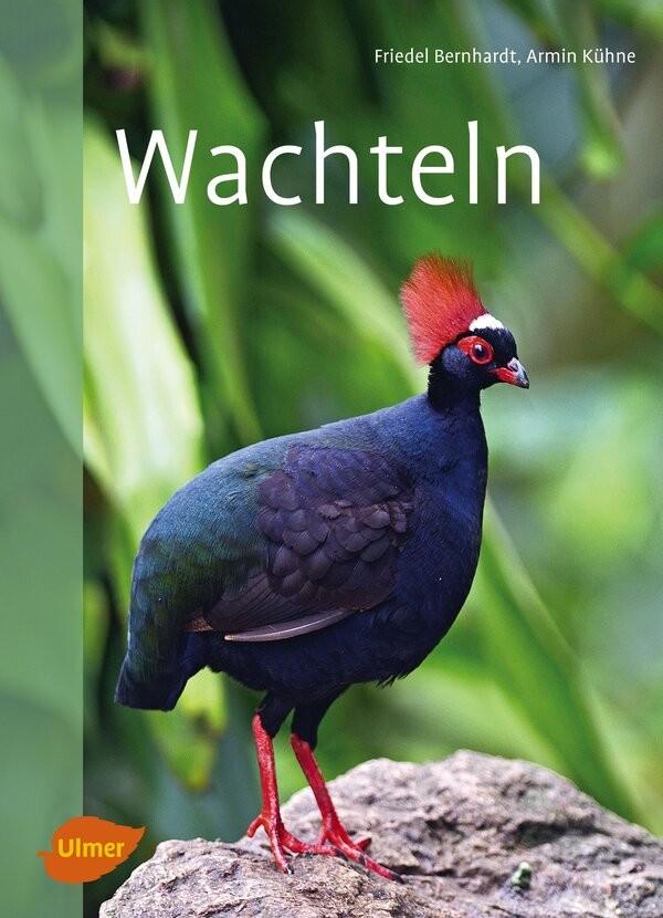 Wachtel Haltung Buch