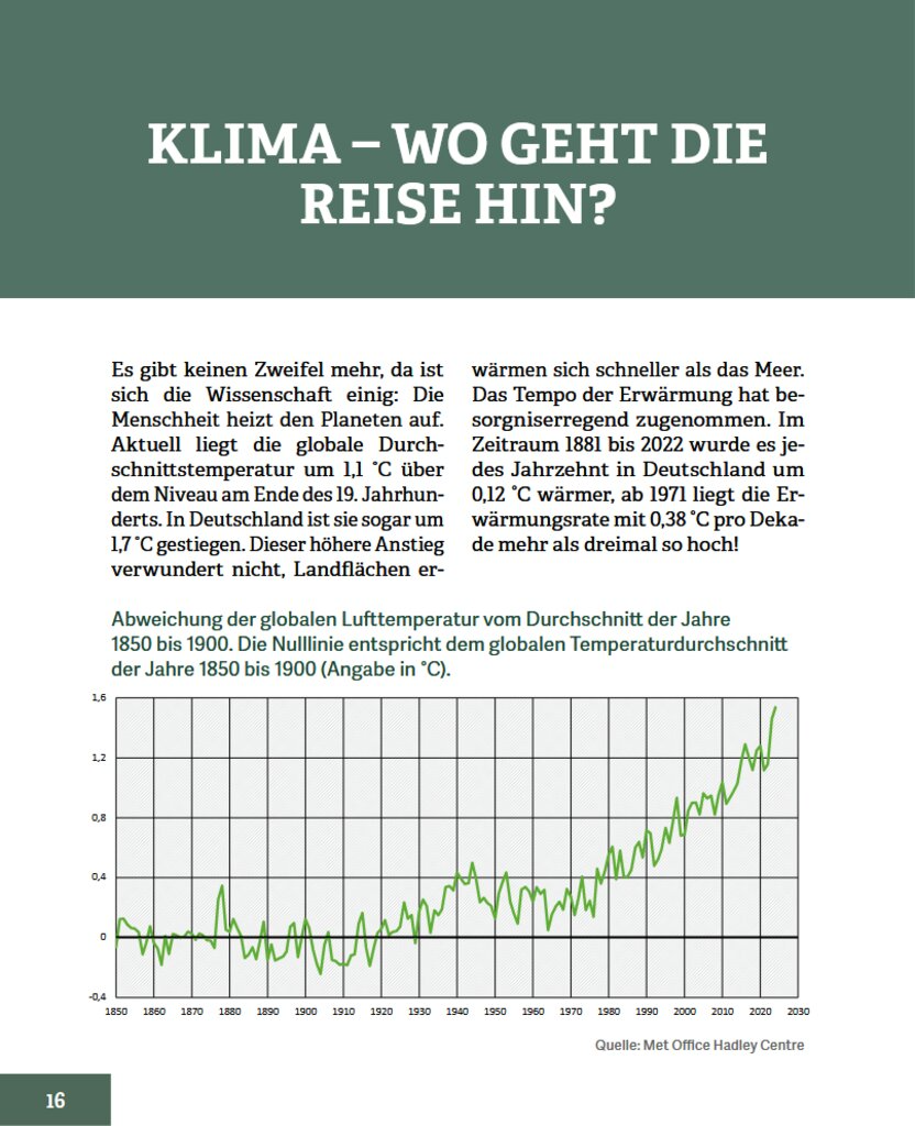 Wald im Wandel - Innenansicht 2