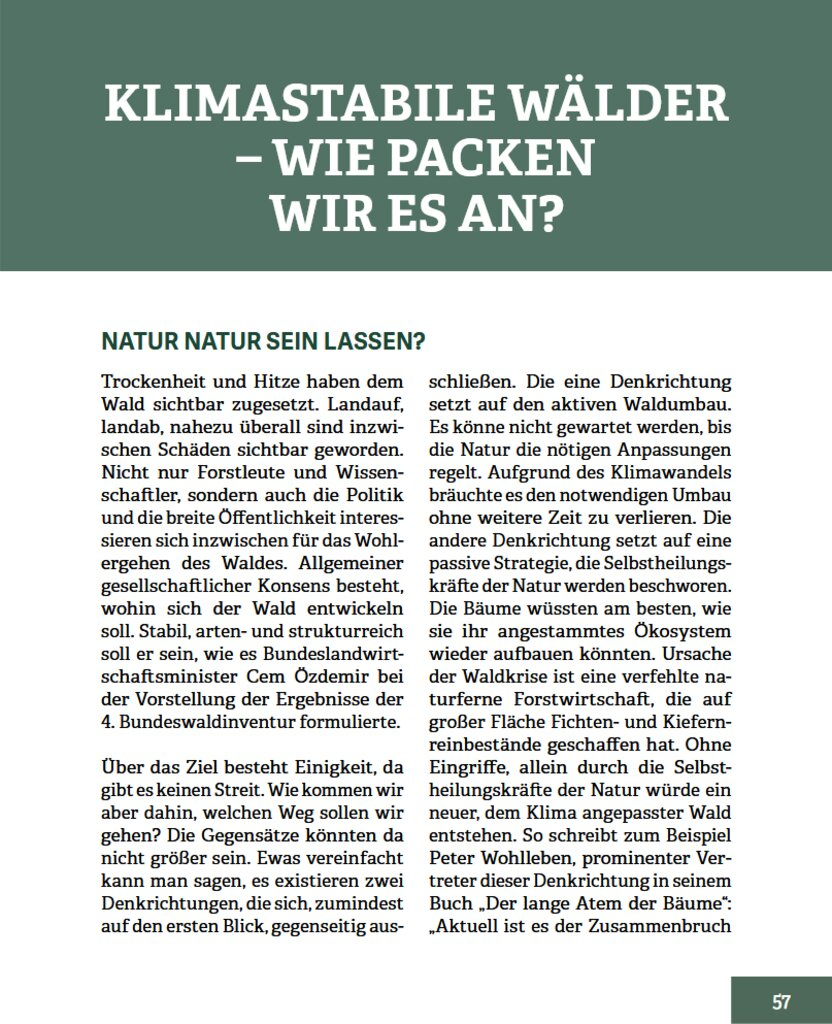 Wald im Wandel - Innenansicht 3
