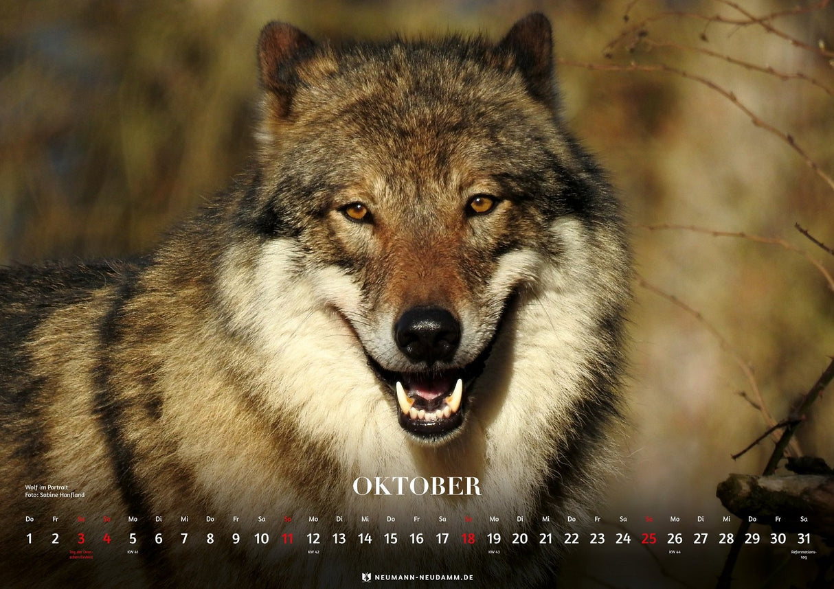 kalender wald und wild 2026