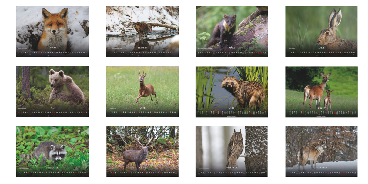 Wald & Wild Kalender 2027 - Monatsübersicht