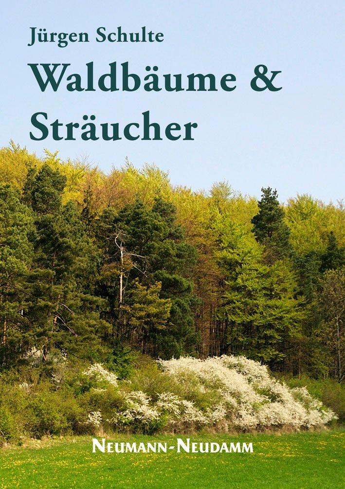 waldbaeume und straeucher bestimmung