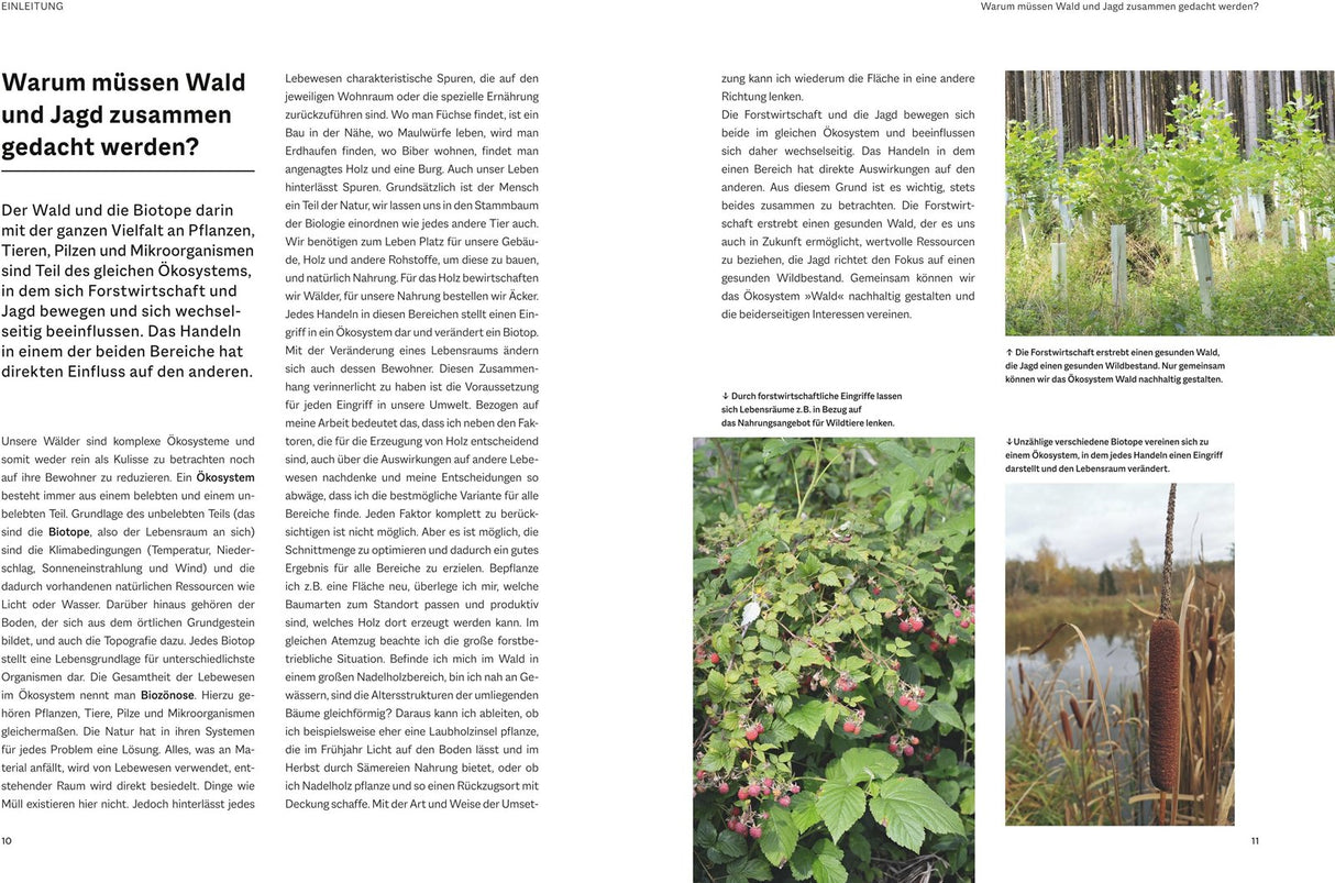 Waldbau fuer Jaeger, Forst Buch