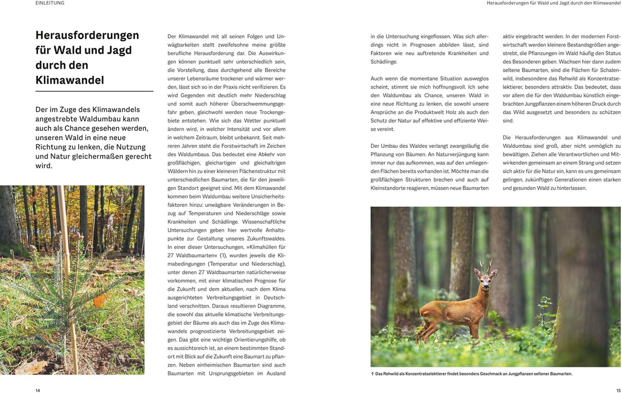 Waldbau fuer Jaeger - Beatrice Jaeger