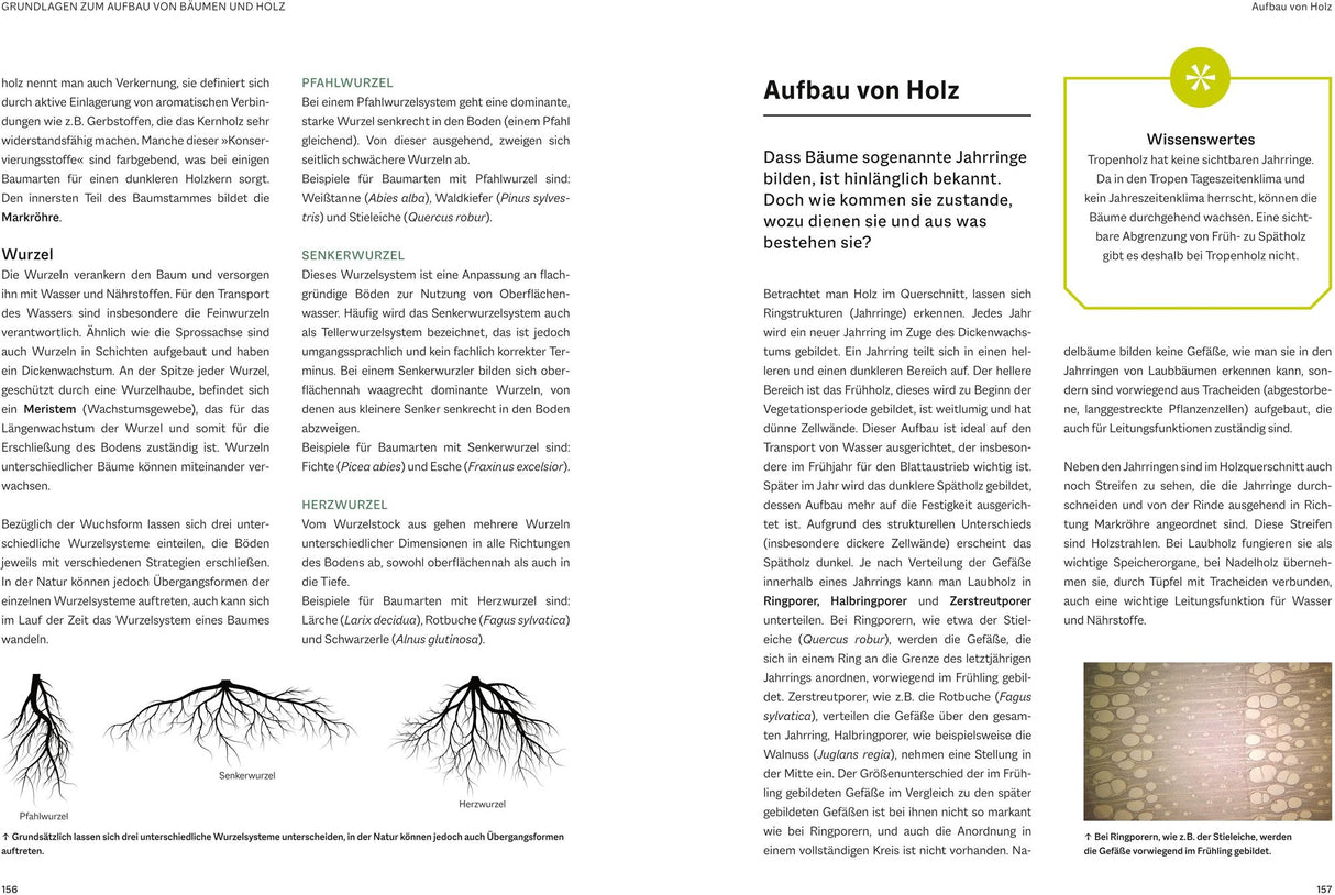 Waldbau fuer Jaeger Leseprobe