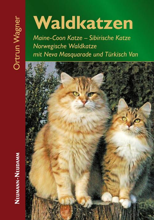 waldkatzen fachbuch