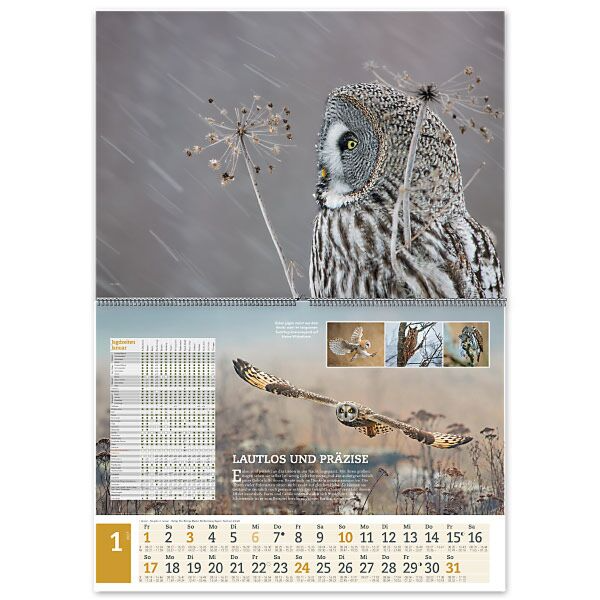 Wandkalender UNSERE JAGD 2027 - Januar