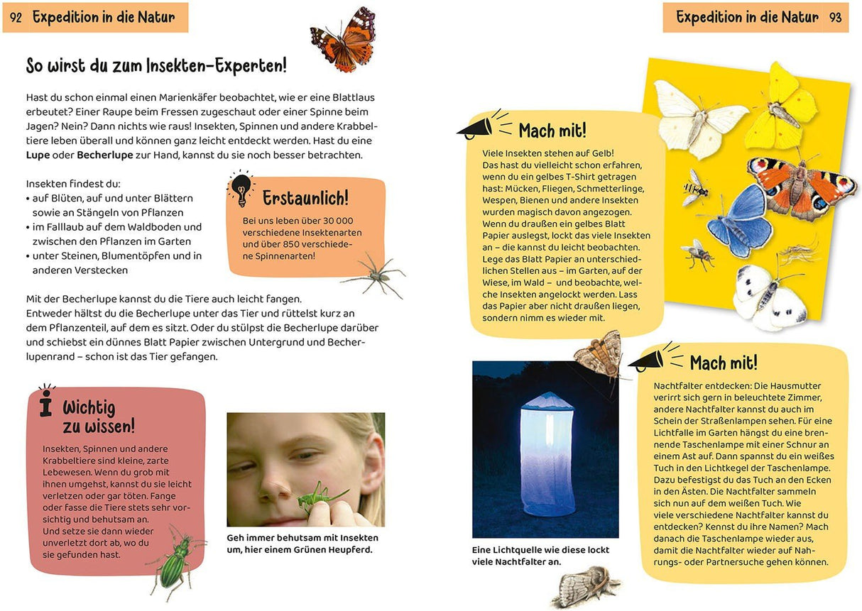 was krabbelt denn da innenansicht