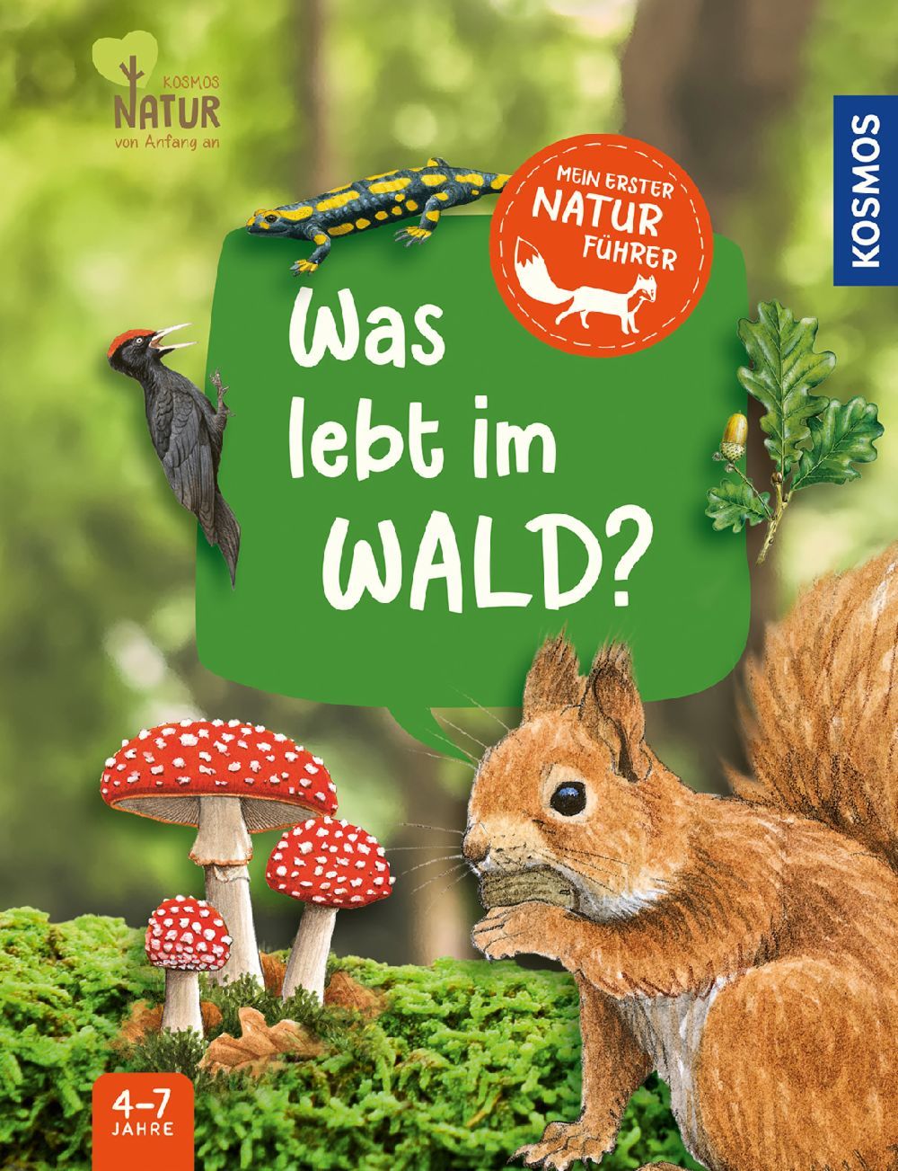 kinder naturfuehrer was lebt im wald