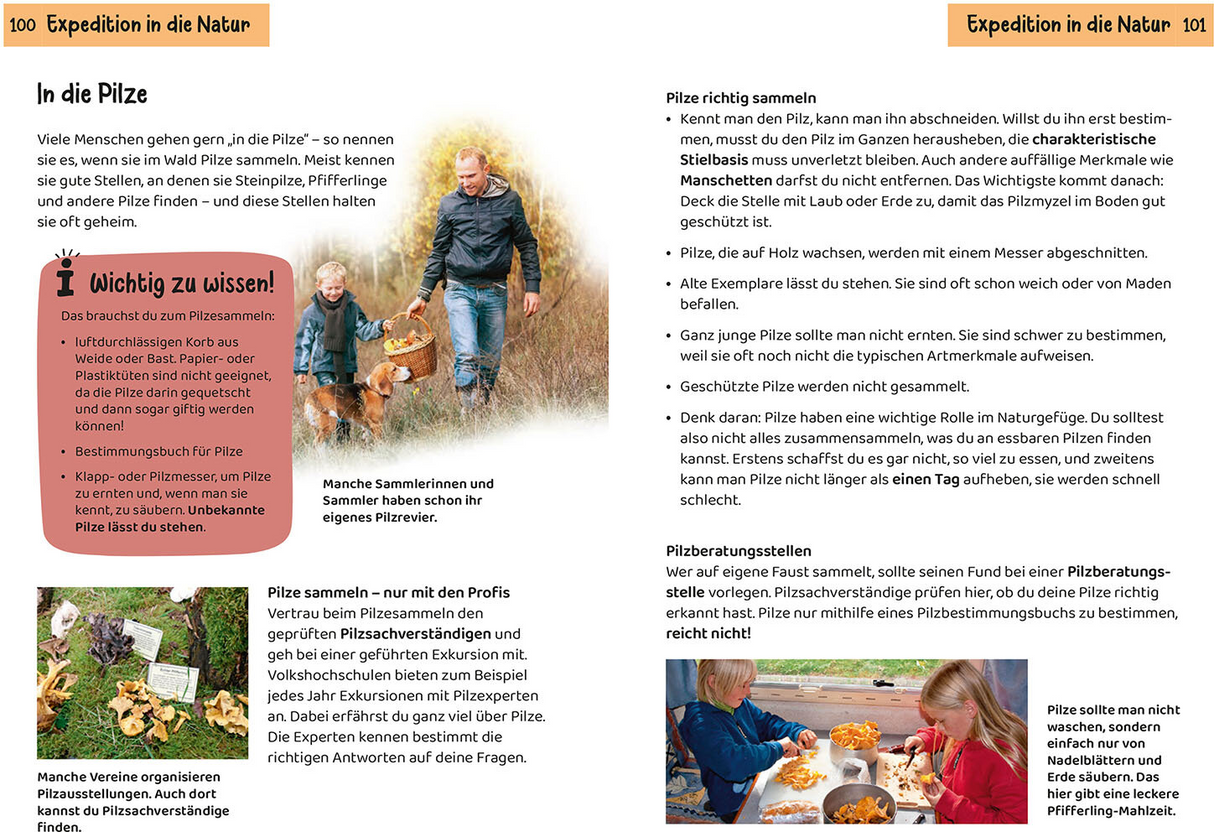 Welcher Pilz ist das? Kindernaturführer - In die Pilze