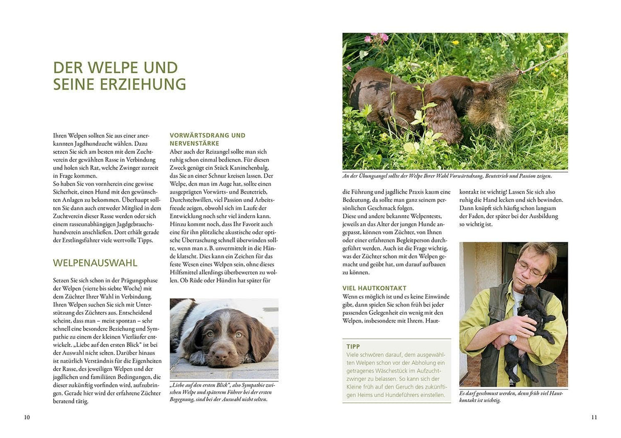 Jagdhundeausbildung Buch