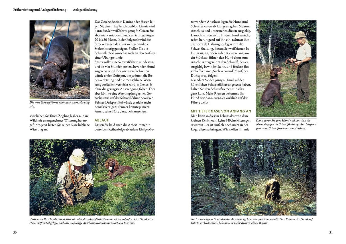 Hunde Ausbildung Praxisbuch