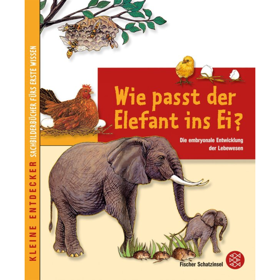 Wie passt der Elefant ins Ei? Die embryonale Entwicklung der Lebewesen