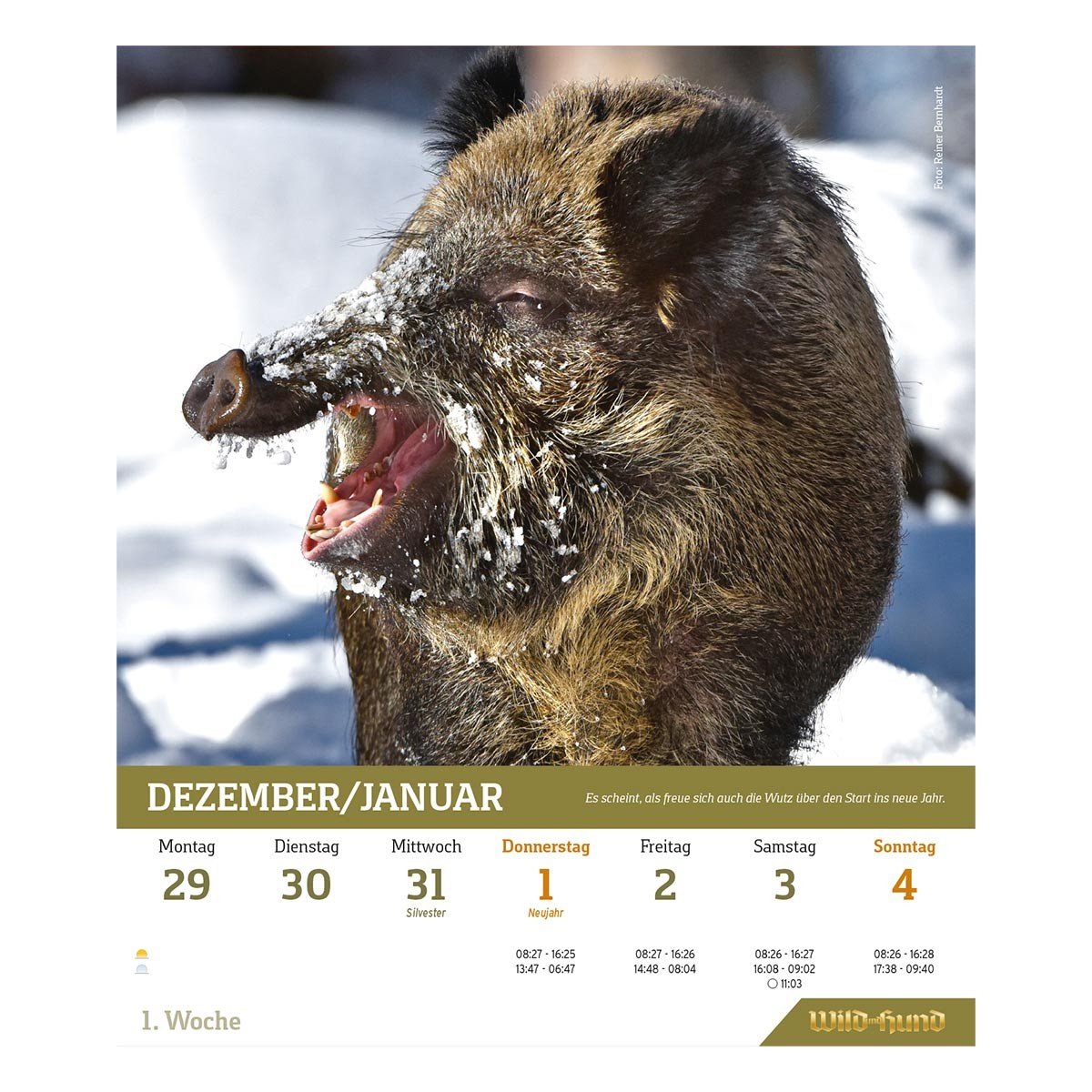 Wild und Hund Wandkalender Innenansicht