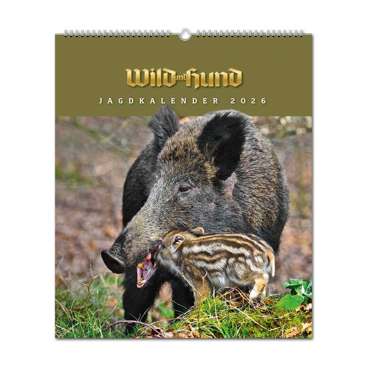 wild und hund wandkalender 2026
