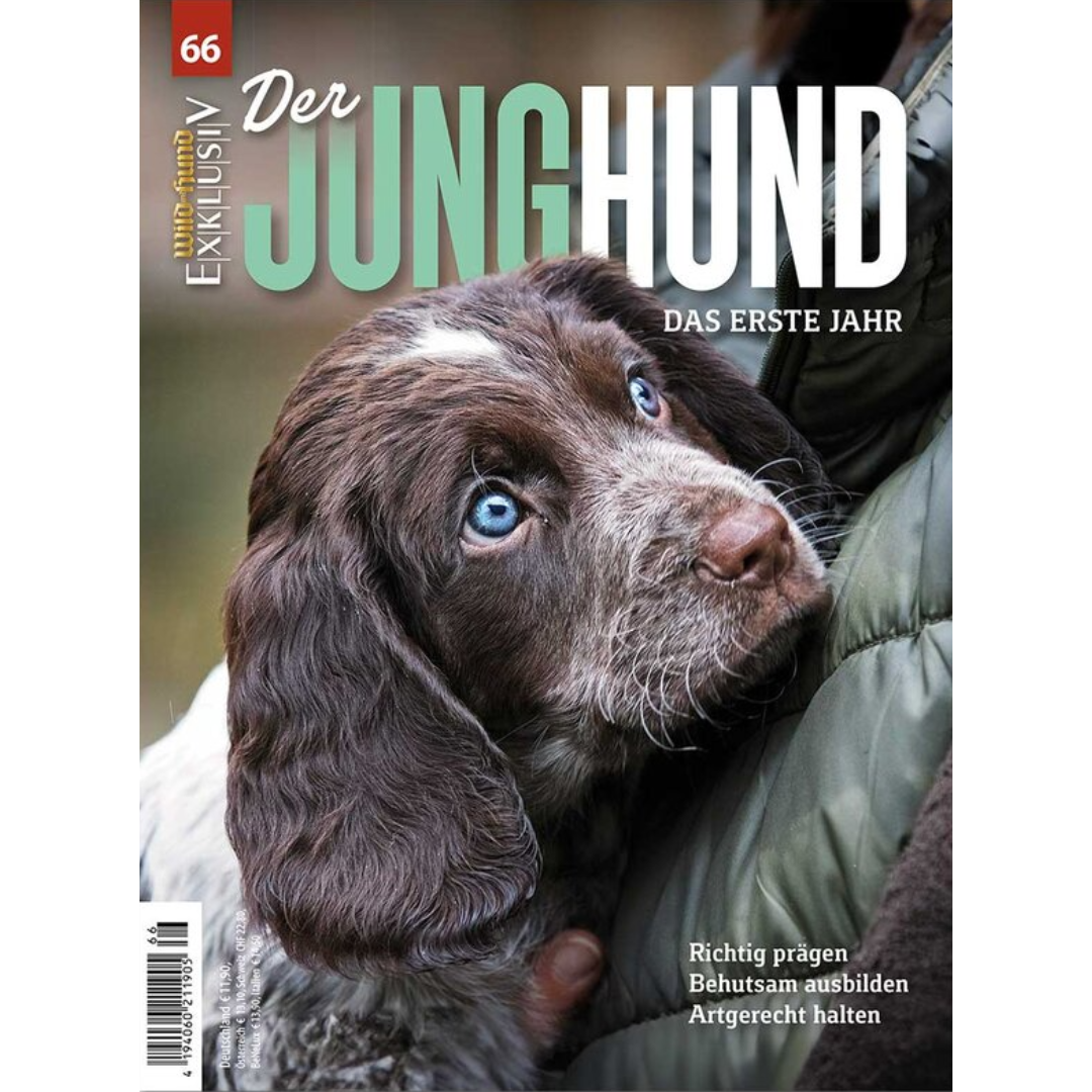 WILD UND HUND Exklusiv Nr. 66: Der Junghund - Das erste Jahr