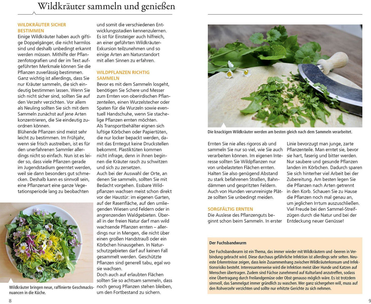 kraeuterfuehrer kosmos