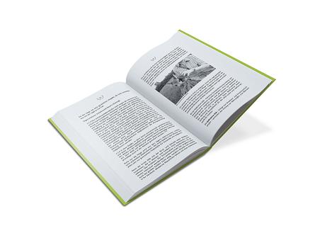 nachhaltiges wildbret buch