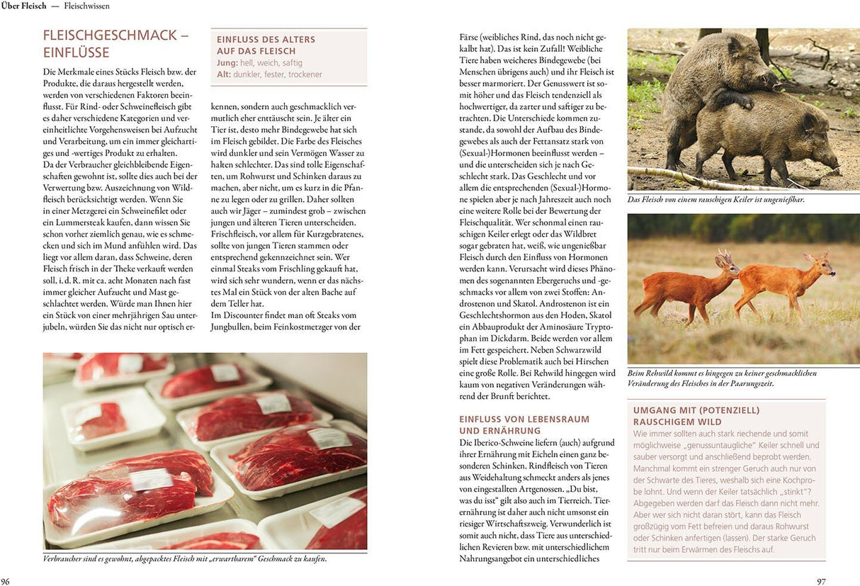 Wildbret Wissen - Buch Kosmos