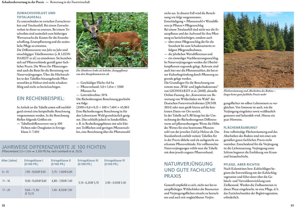 Wildschäden - Schadensbewertung in der Praxis