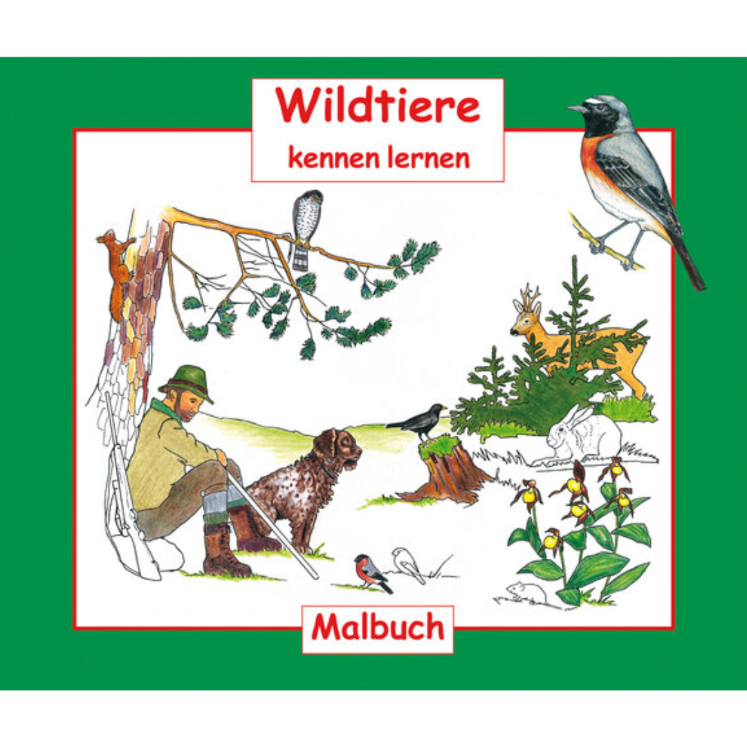 Wildtiere kennen lernen - Malbuch