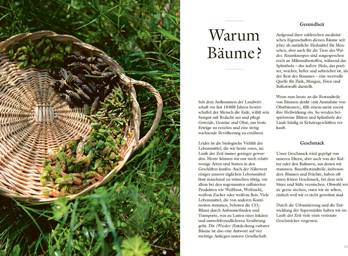 Wundervolle Waldküche - Innenansicht 1