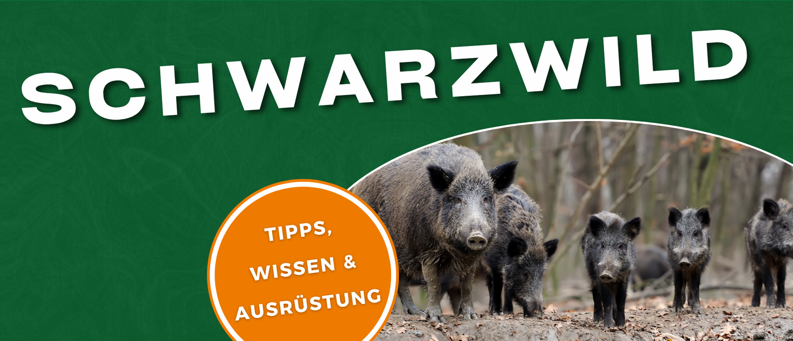Schwarzwild Jagd