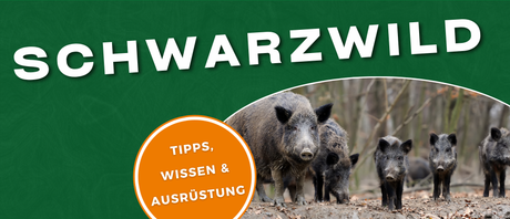 Schwarzwild Jagd