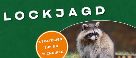 Lockjagd - Strategien, Tipps & Techniken