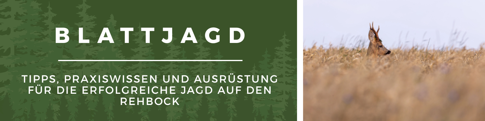 Blattjagd - Tipps, Praxiswissen und Ausrüstung