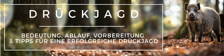 Drückjagd – Bedeutung, Ablauf, Vorbereitung & Tipps für eine erfolgreiche Drückjagd