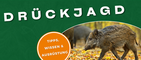 Drückjagd - Tipps & Ausrüstung