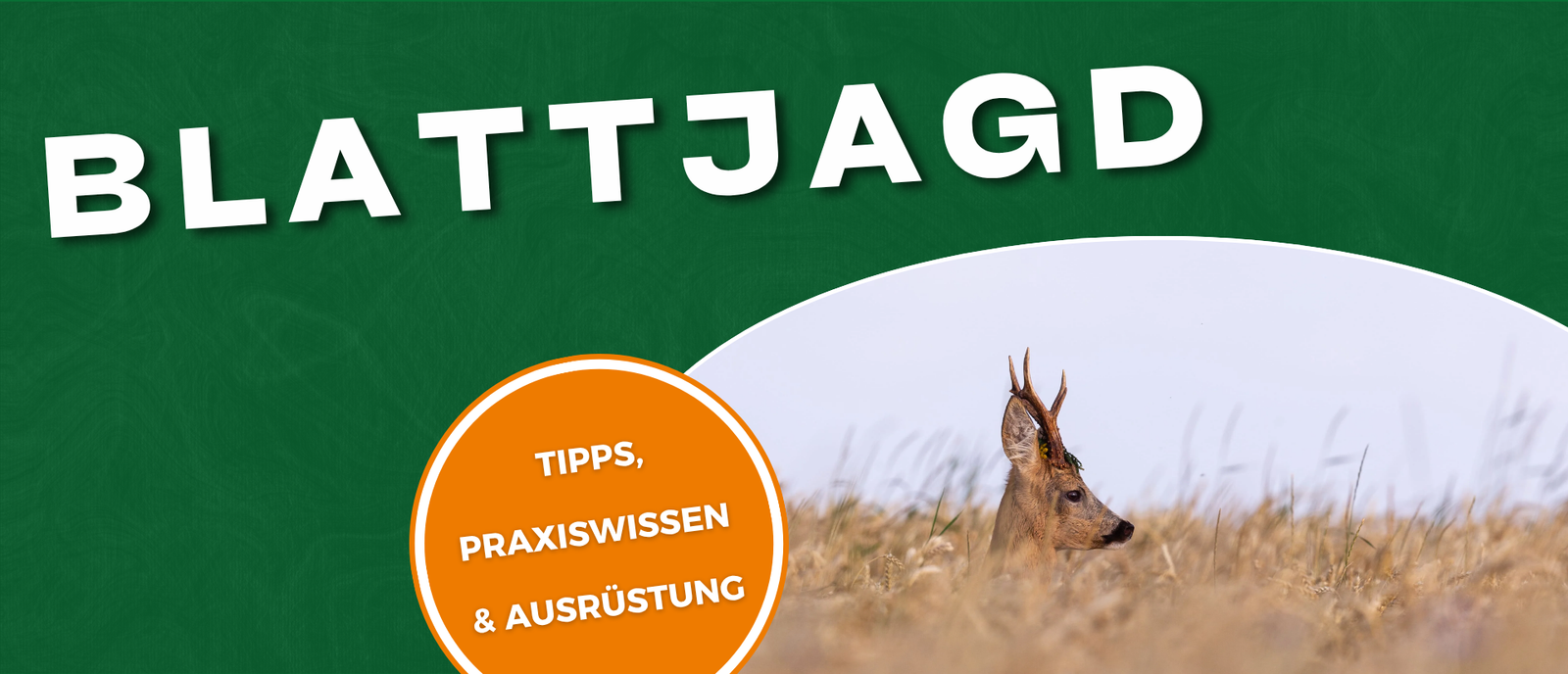 Blattjagd - Tipps, Praxiswissen & Ausrüstung