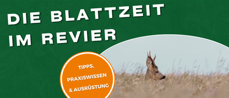 Blattjagd - Tipps, Praxiswissen & Ausrüstung