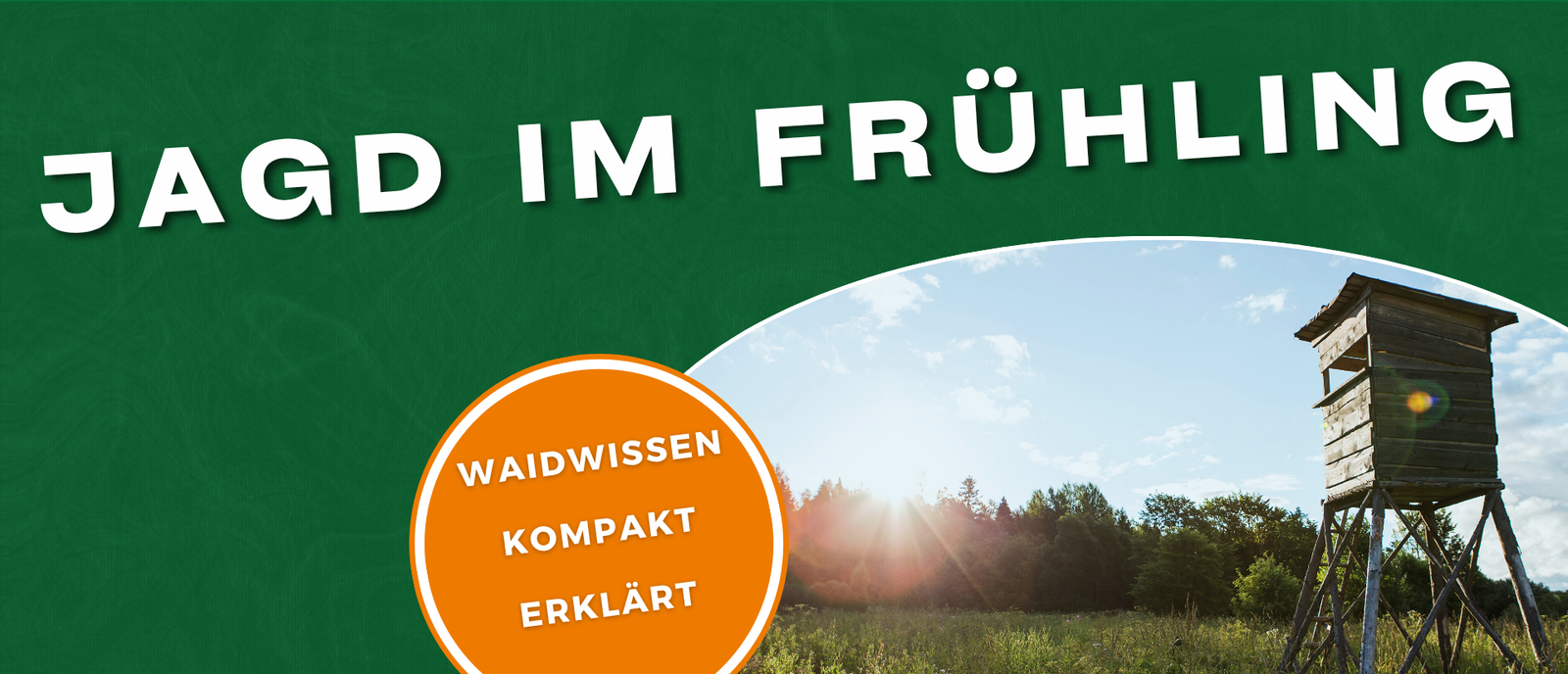Frühlingshaftes Jagdrevier mit Hochsitz im Wald, Wiese