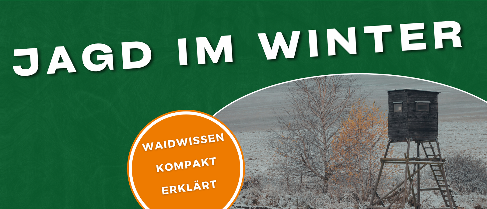 Winterliches Jagdrevier mit Schnee, Hochsitz und Waldlandschaft