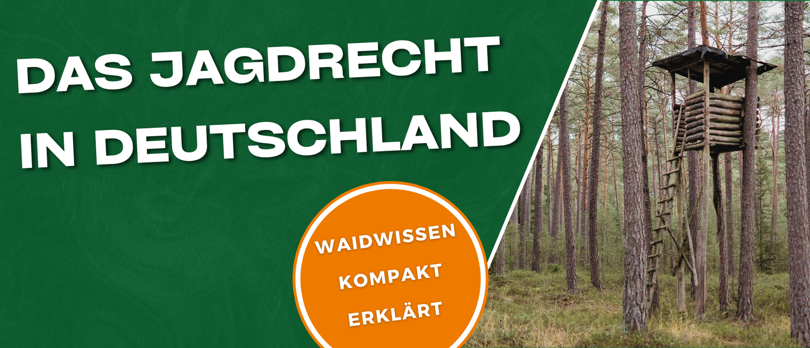Deutsches Jagdrecht und Jagdgesetz: Grundregeln, BJagdG und Praxis
