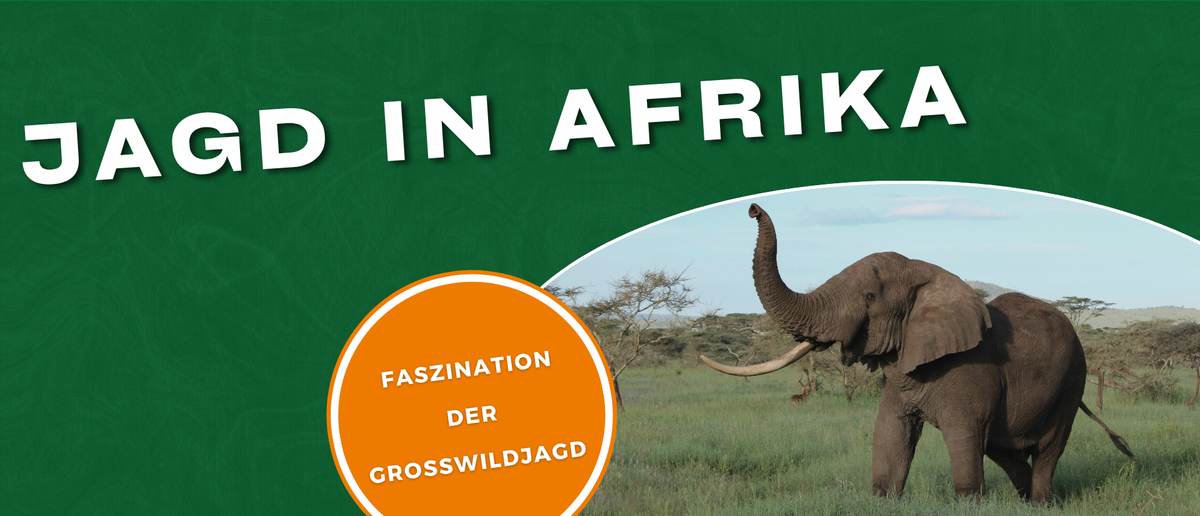 Jagd in Afrika: Tradition, Ethik, Artenschutz und Faszination der Großwildjagd