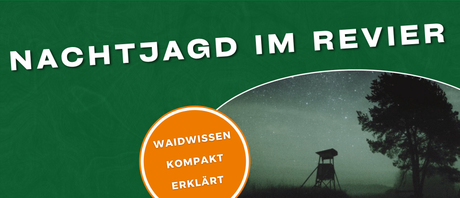Nachtjagd im Revier