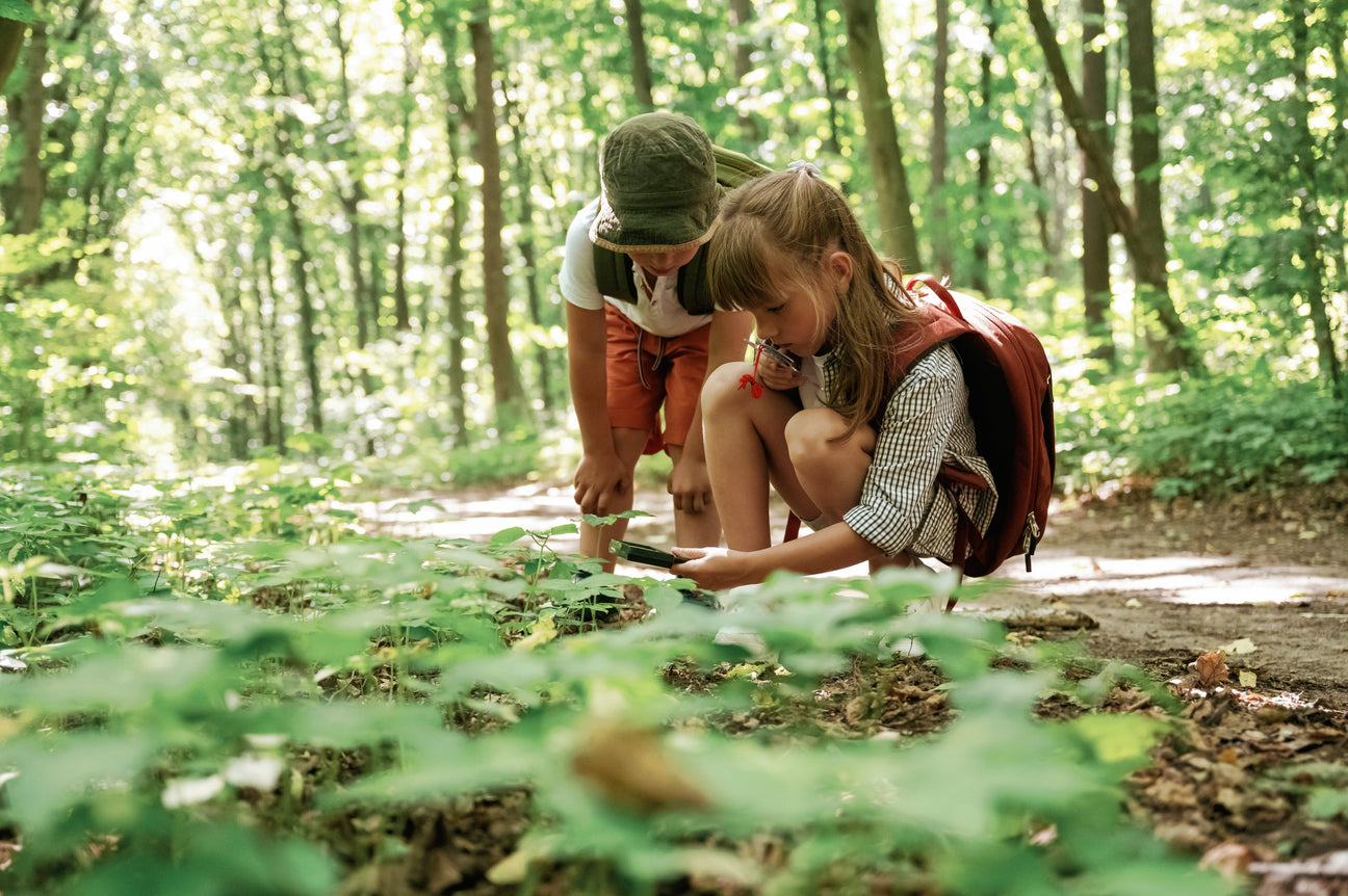 Naturbücher für Kinder – spannende Kinderbücher über Wald, Tiere, Pflanzen, Naturführer und Mitmach-Abenteuer