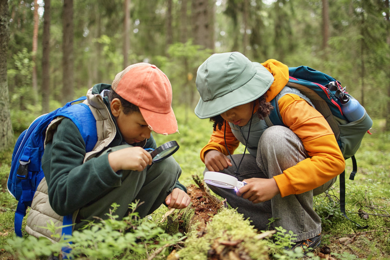 Kinderspiele Natur – Kinder entdecken Natur mit Lupe, Schnitzmesser und Lernspielen.